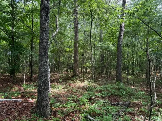 0 Freeze Rd, Morrison, TN 37357 - #2