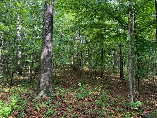 0 Smoot Rd, Morrison, TN 37357 - #3