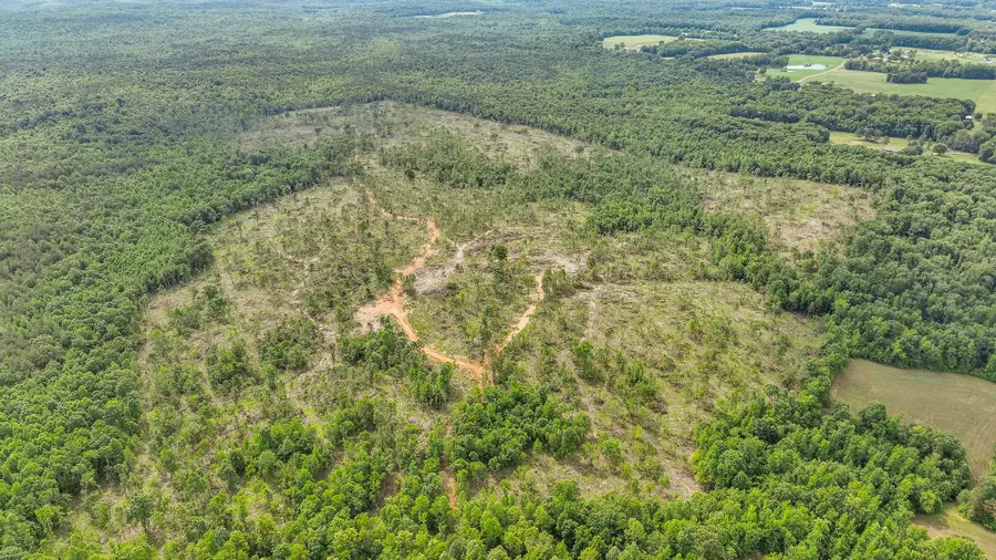 0 Wynn Rd, Big Sandy, TN 38221 - #3