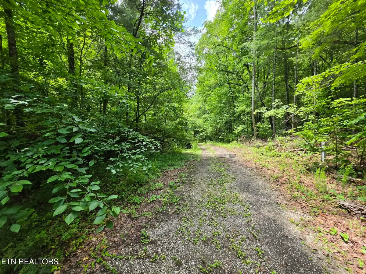 195 Sherwood Lane, Harriman, TN 37748 - #1