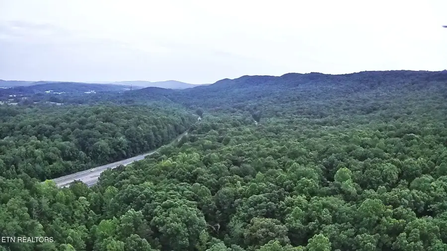 195 Sherwood Lane, Harriman, TN 37748 - #2