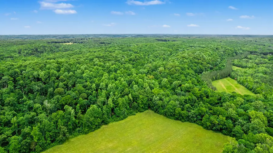 0 Little Hurricane Creek, Mc Ewen, TN 37101 - #2