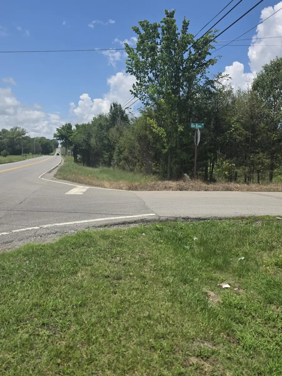 8373 Carthage Hwy, Lebanon, TN 37087 - #3
