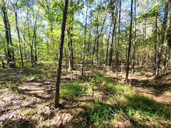 3 Coal Banks Rd, Sparta, TN 38583