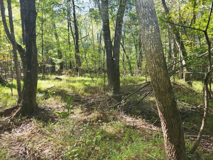 3 Coal Banks Rd, Sparta, TN 38583 - #2
