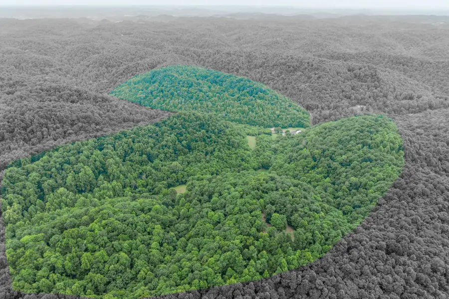 1784 Hurricane Creek Rd, Woodbury, TN 37190 - #2