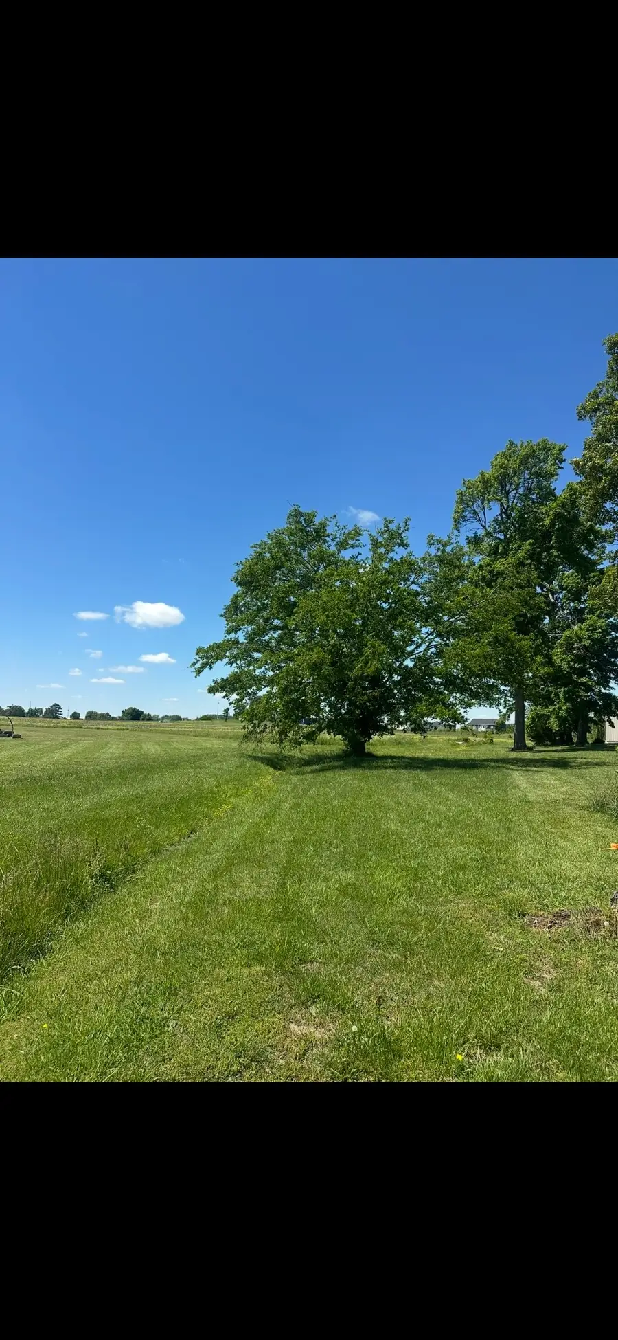 591 White Rd, Portland, TN 37148 - #3