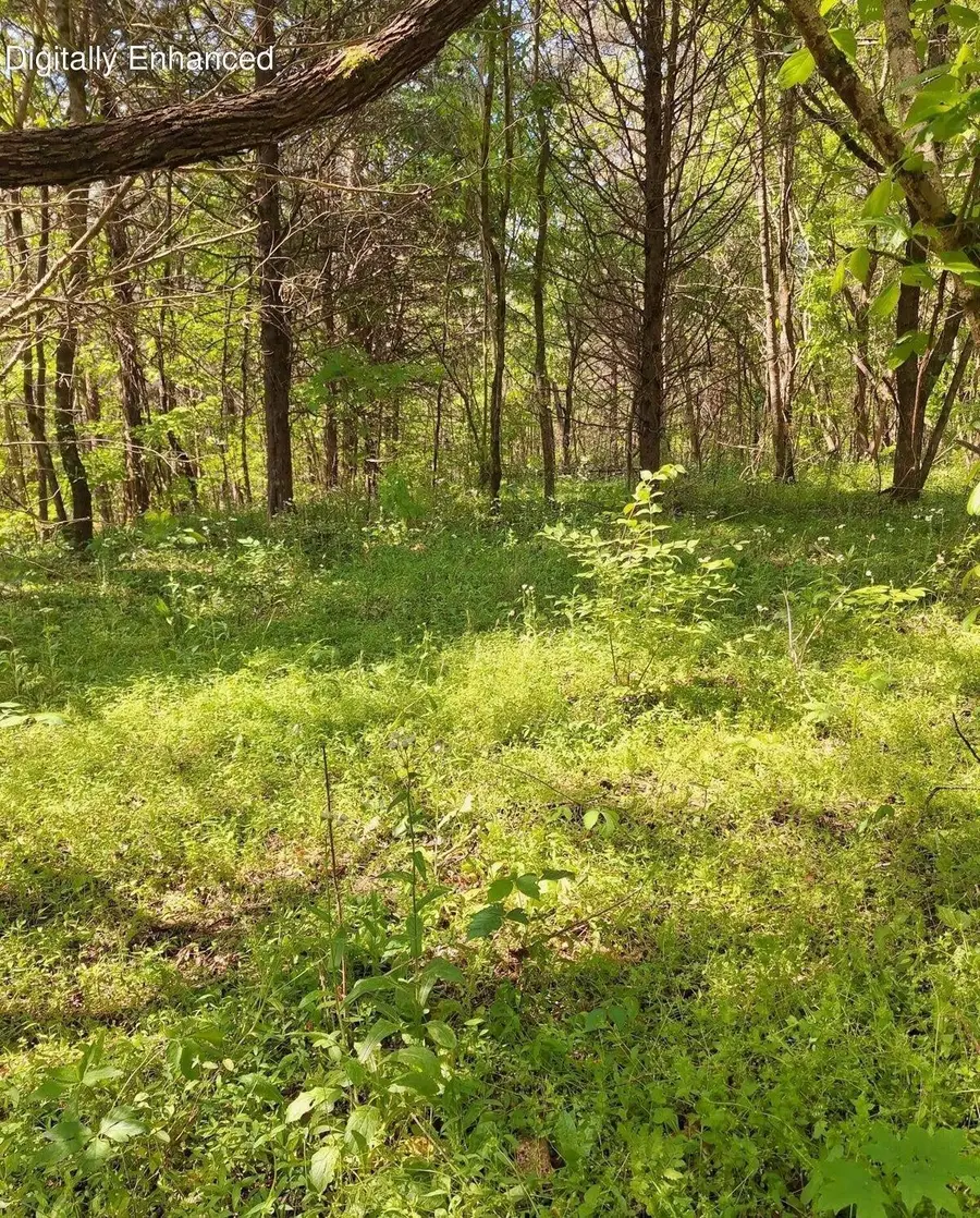 374 Payne Road, Tellico Plains, TN 37385 - #2