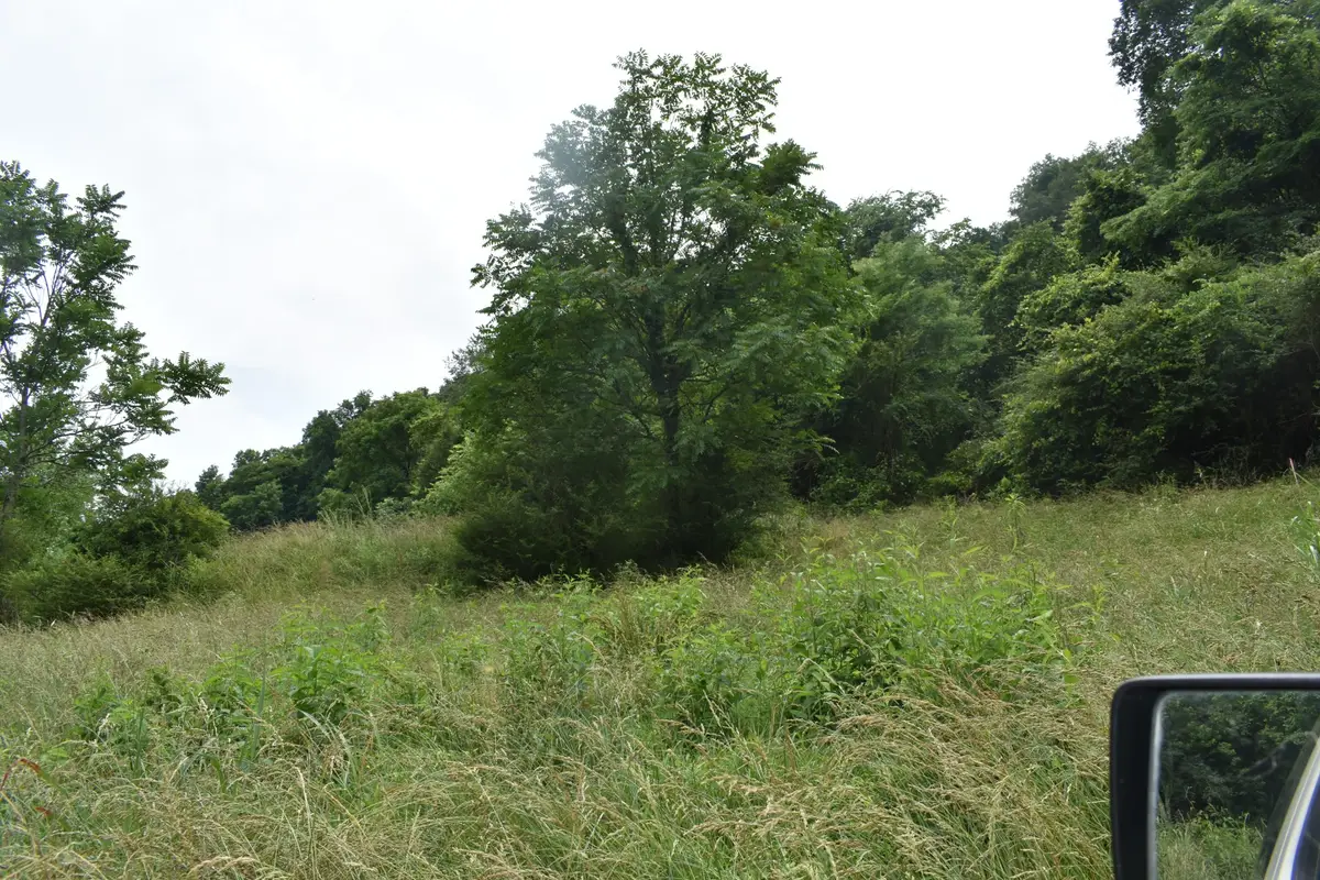 0 Pleasant Shade Hwy, Pleasant Shade, TN 37145 - #1