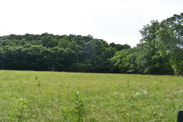 0 Pleasant Shade Hwy, Pleasant Shade, TN 37145