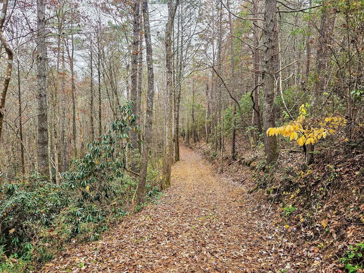 138 Bowater Road, Tellico Plains, TN 37385 - #1