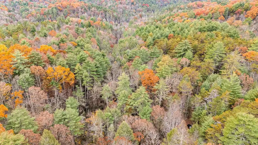 138 Bowater Road, Tellico Plains, TN 37385 - #3