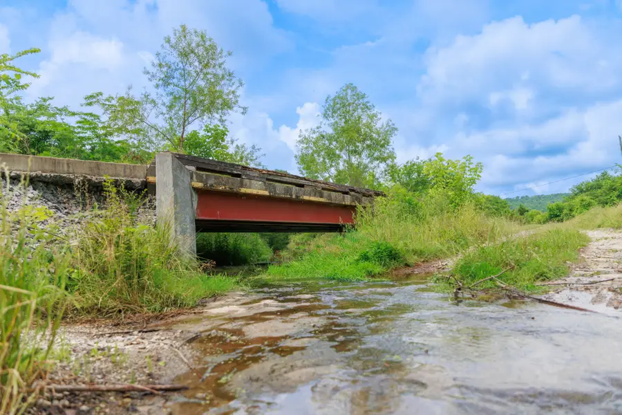 8100 Eaton Hollow Rd, Christiana, TN 37037 - #3