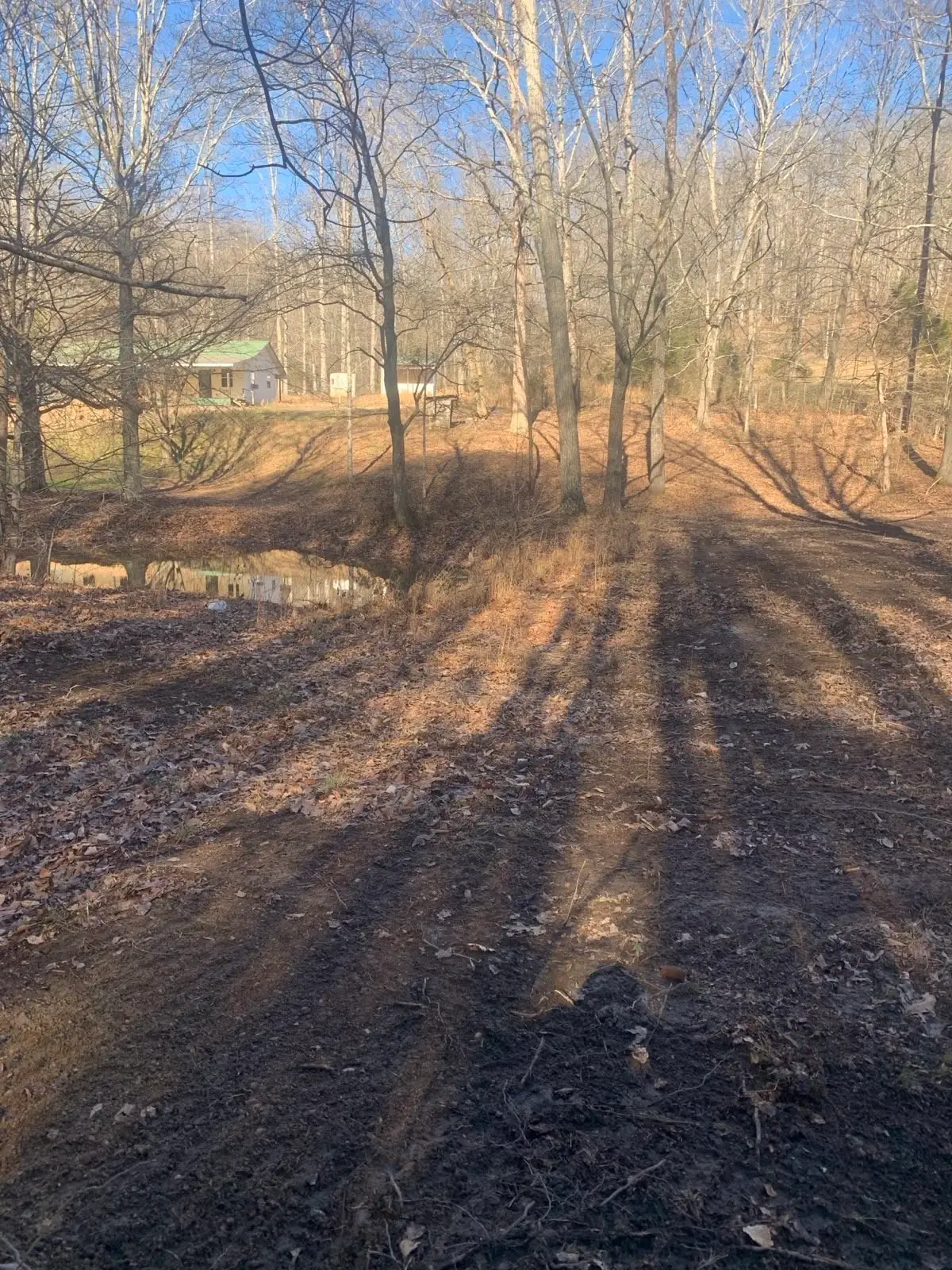1252 Kelly Rd, Centerville, TN 37033 - #1