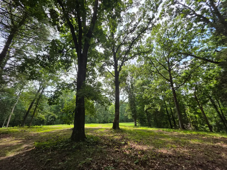0 Baggett Hollow, Cunningham, TN 37052 - #2