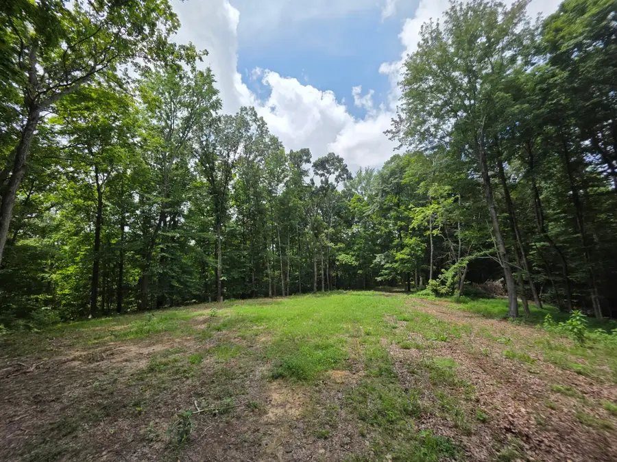0 Baggett Hollow, Cunningham, TN 37052 - #3