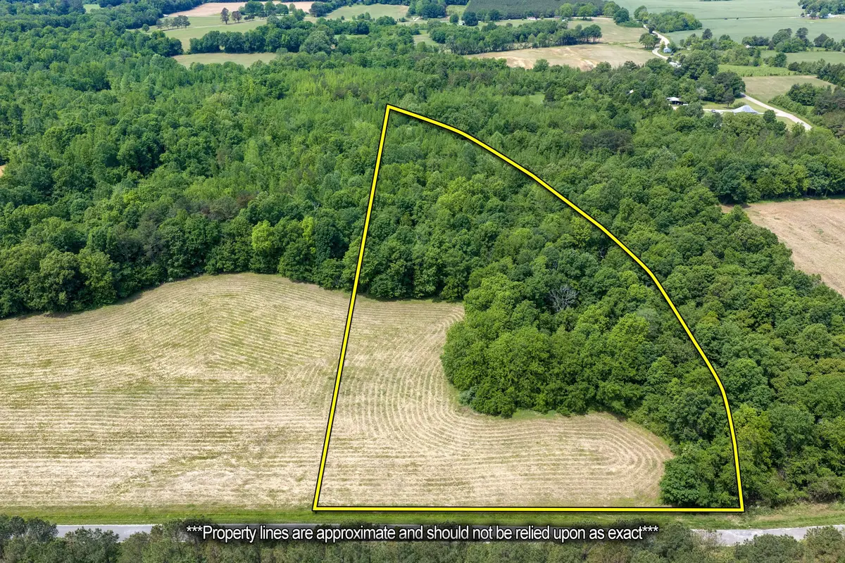 0 Mann Rd, Hollow Rock, TN 38342 - #1