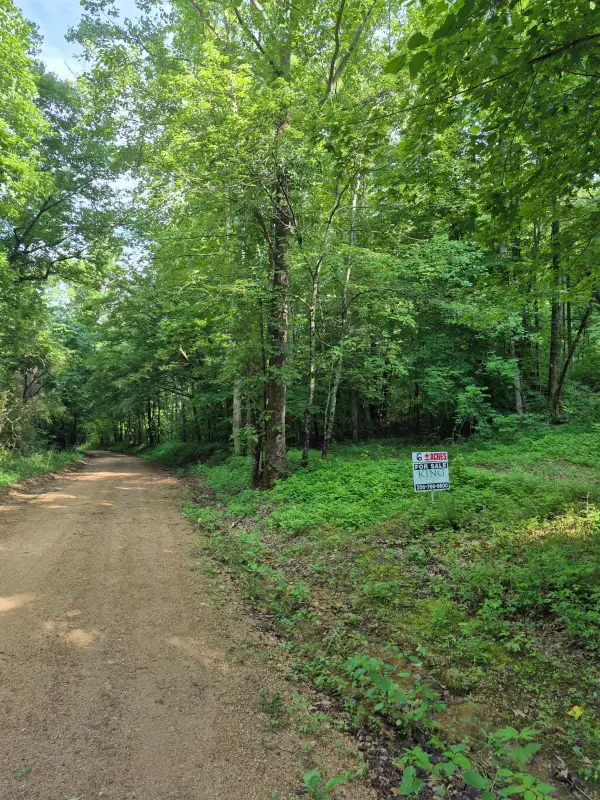 0 Co Rd 462, Lexington, AL 35648
