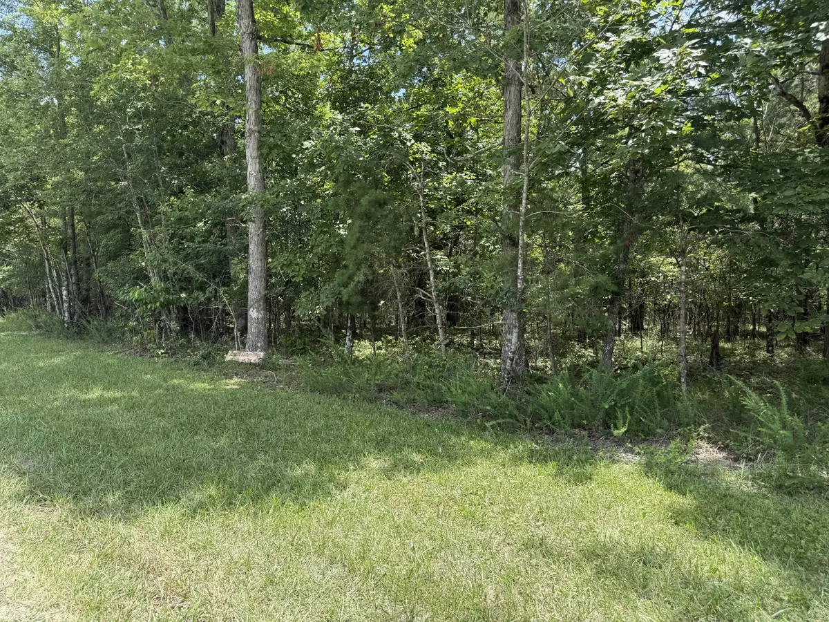 0 Long Branch Rd, Spencer, TN 38585 - #1