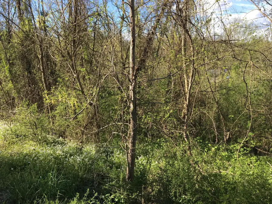 0 Main Street W, Hartsville, TN 37074 - #2