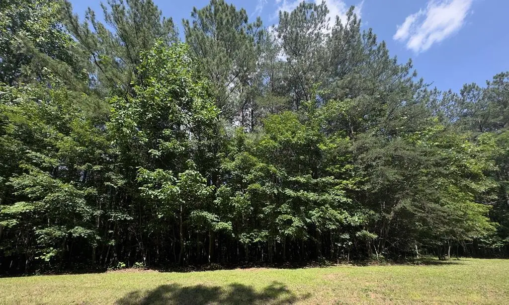 0 Hickory Nut Trl, Spencer, TN 38585 - #1