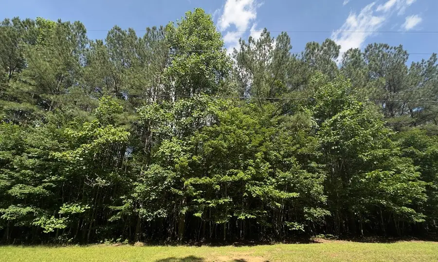 0 Hickory Nut Trl, Spencer, TN 38585 - #3