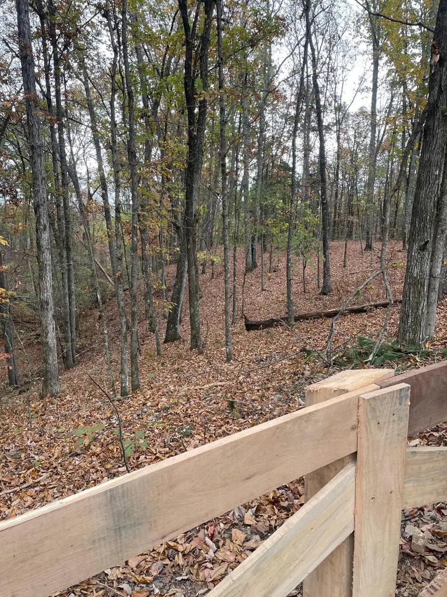 1132 Sneed Rd (lot 1) Road, Decatur, TN 37322 - #3