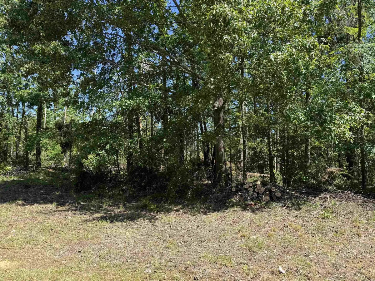 0 Clement Dr, Savannah, TN 38372 - #1