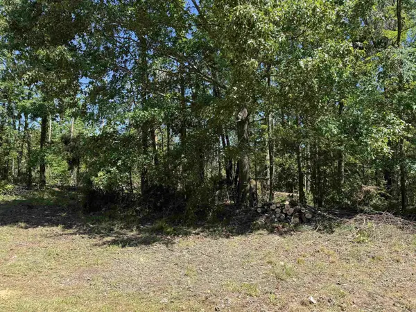 0 Clement Dr, Savannah, TN 38372