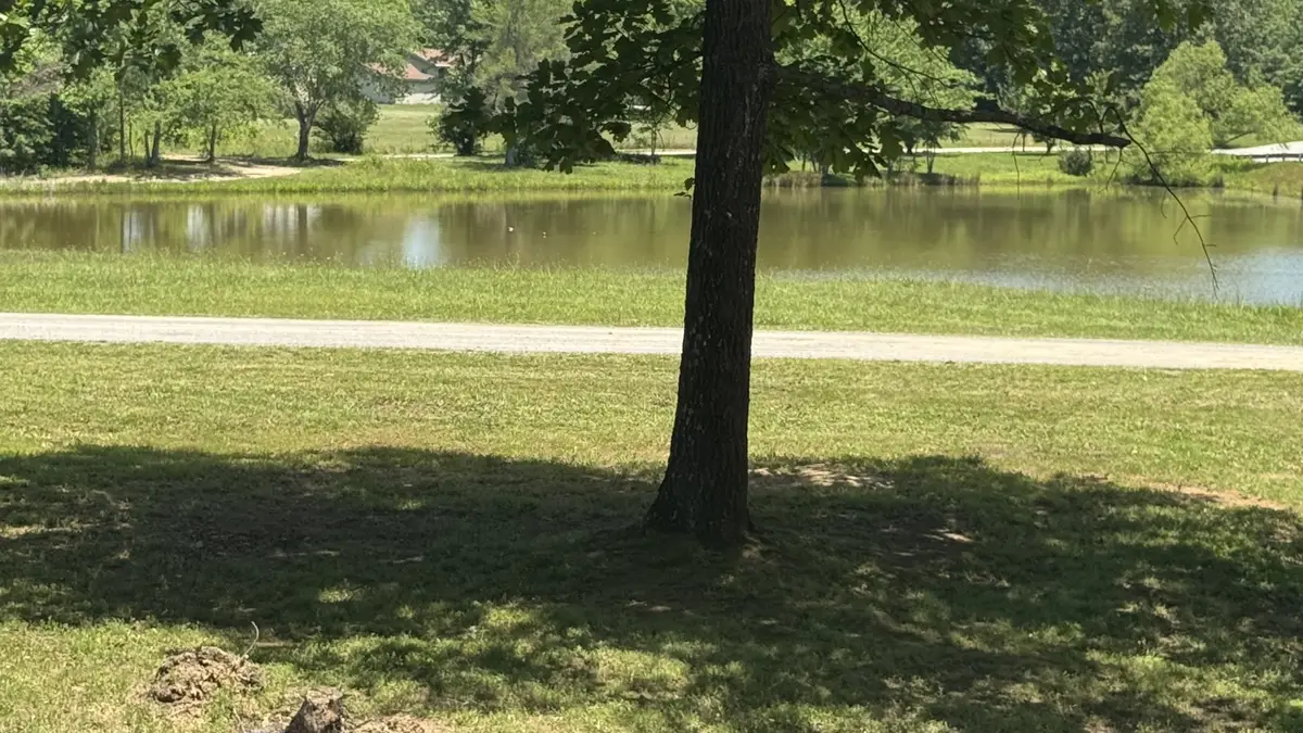 1684 Rimfire Dr, Beechgrove, TN 37018 - #1