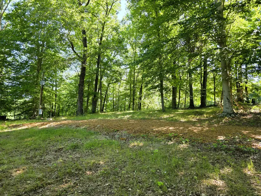 12225 Off Highway 79 N, Buchanan, TN 38222 - #3
