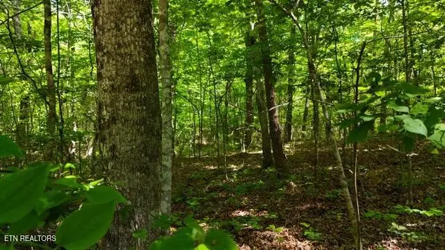 3738 T Crowe Circle, Soddy Daisy, TN 37379 - #2