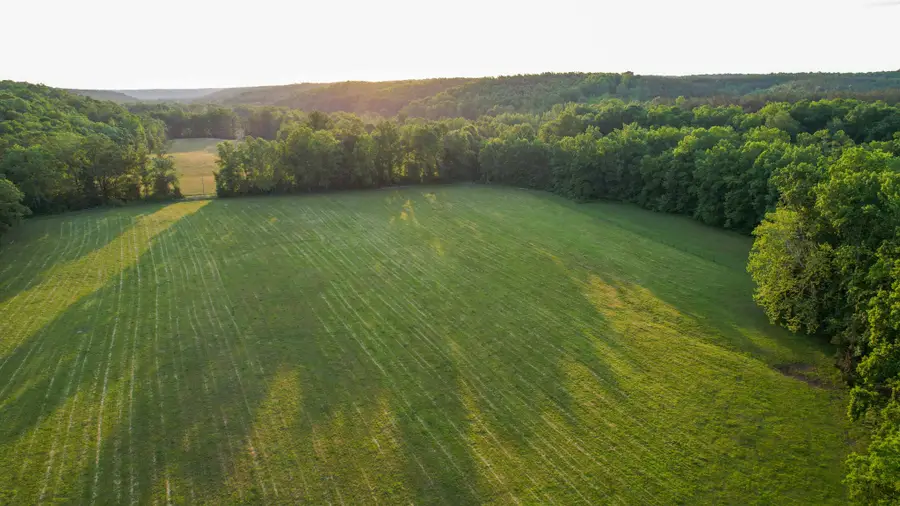 1267 Wades Branch Rd, Centerville, TN 37033 - #2