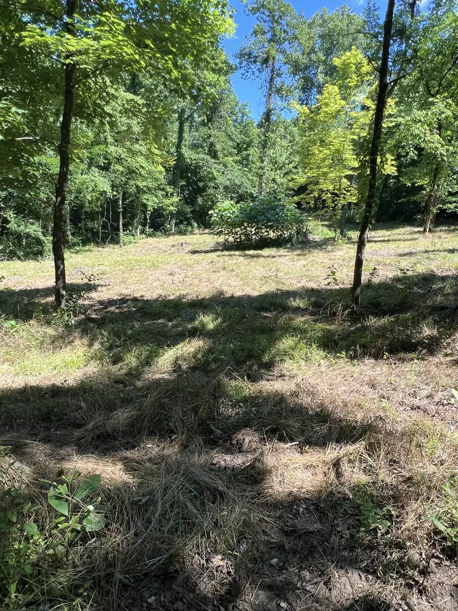 0 Horseshoe Bend Ln, Elmwood, TN 38560 - #2