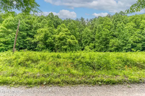 0 Johns Creek Rd, Del Rio, TN 37727
