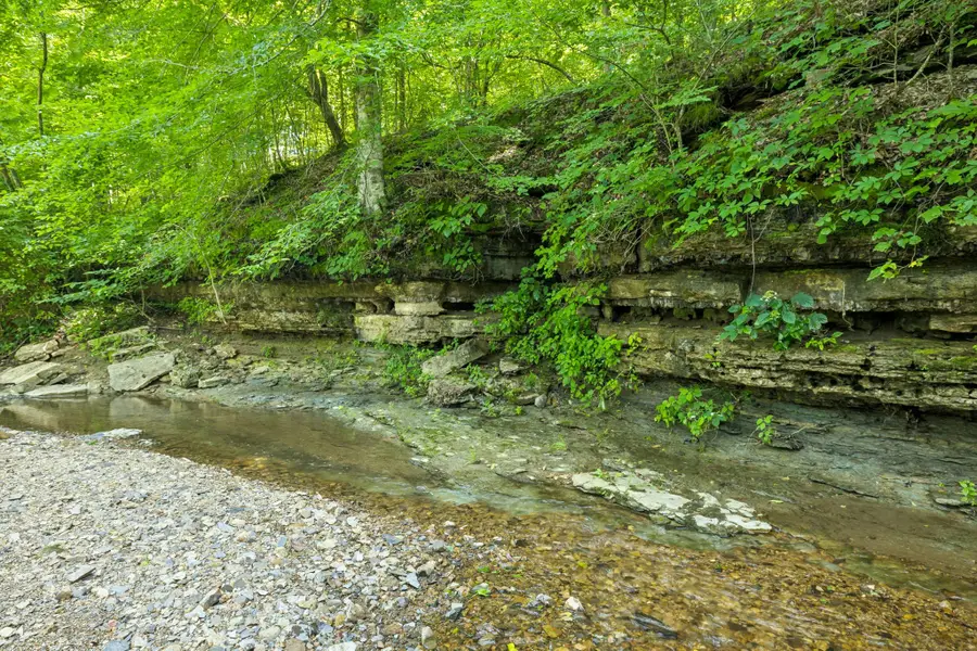 5185 Old Harding Rd, Franklin, TN 37064 - #3