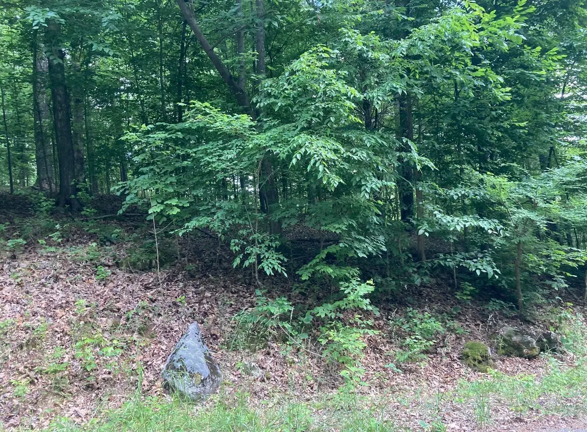 0 Briarwood Drive, Erin, TN 37061 - #1