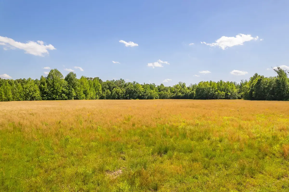 2800 Plainview Road, Henderson, TN 38340 - #1