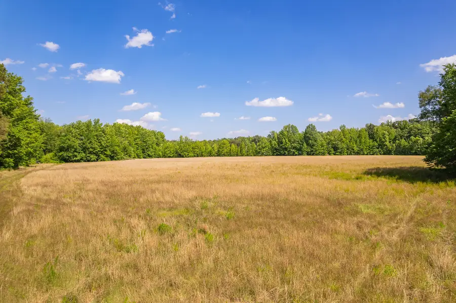 2800 Plainview Road, Henderson, TN 38340 - #3