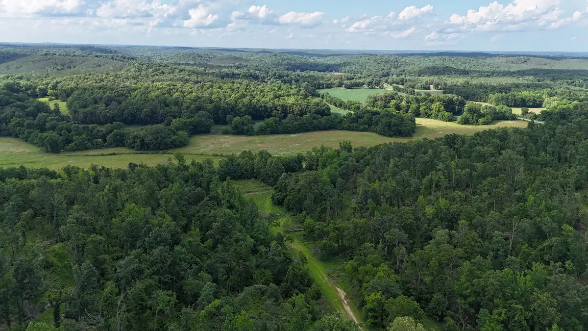 11517 Mt Carmel Rd, Decaturville, TN 38329 - #1