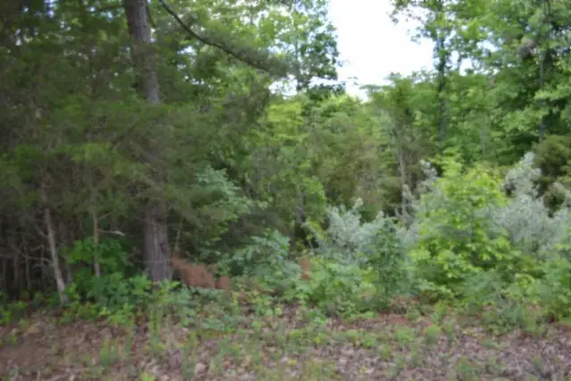 0 Beauchamp Rd, Burkesville, KY 42717 - #1