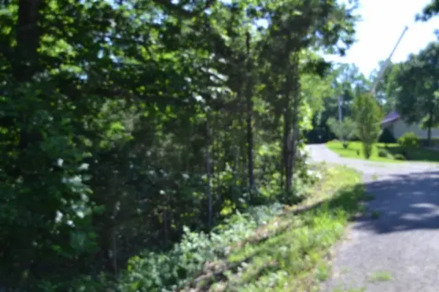 0 Beauchamp Rd, Burkesville, KY 42717 - #3