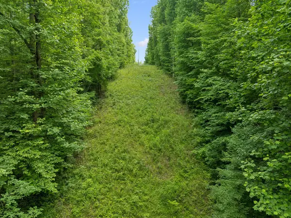 0 Davis Hollow Rd, Franklin, TN 37064