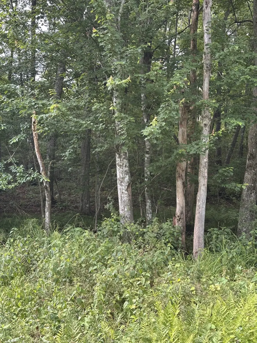 3031 Shawnee Rd, Crossville, TN 38572 - #2