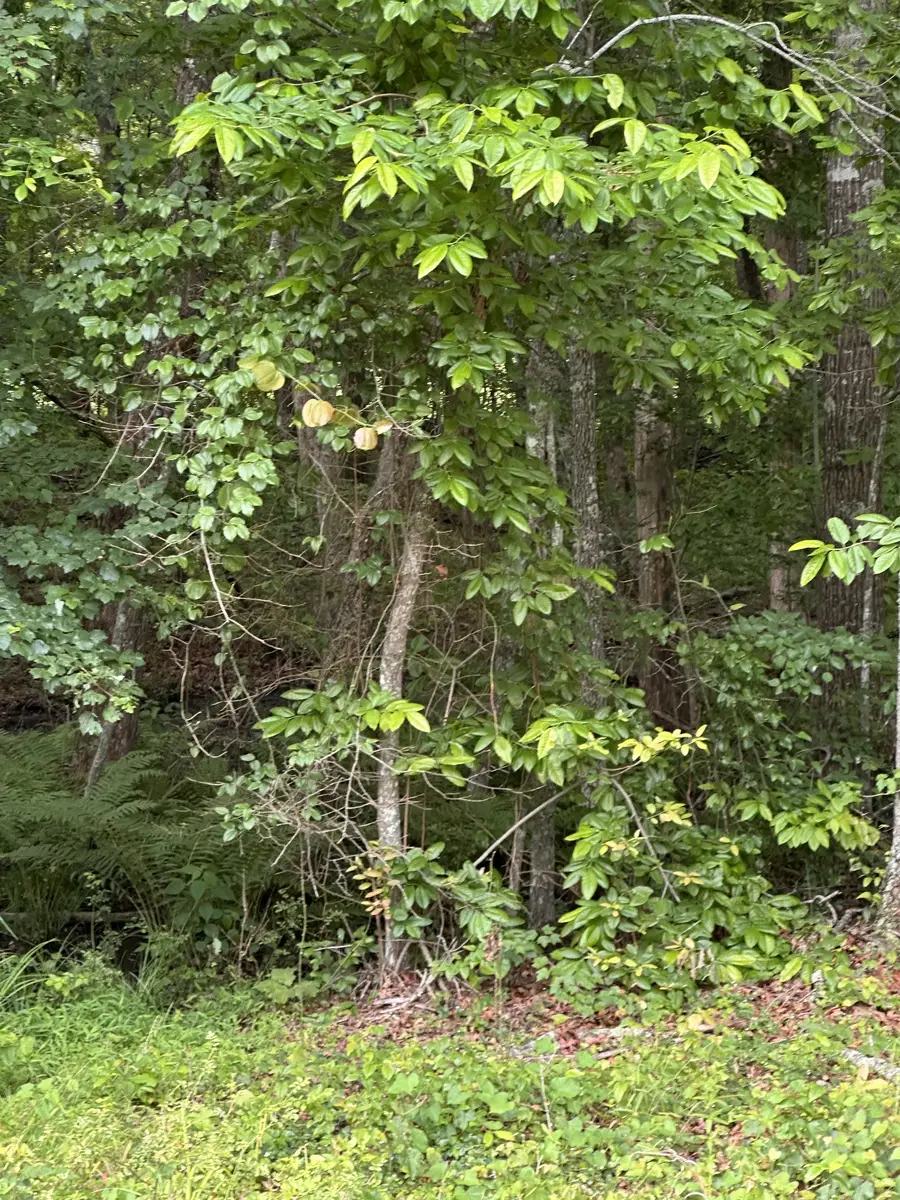 3031 Shawnee Rd, Crossville, TN 38572 - #3
