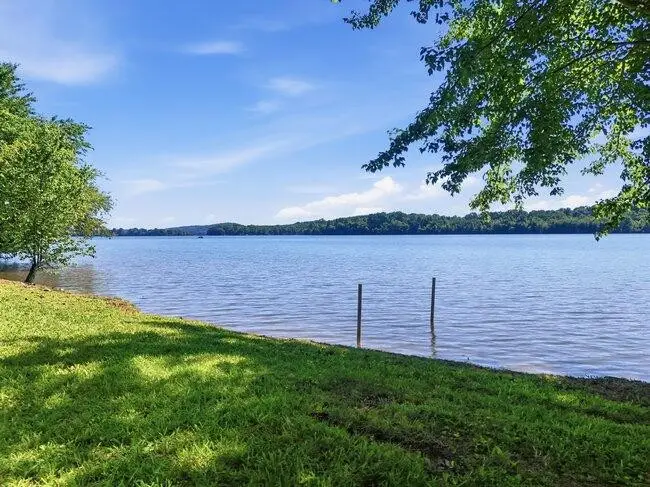 2863 New Lake Road, Spring City, TN 37381 - #1