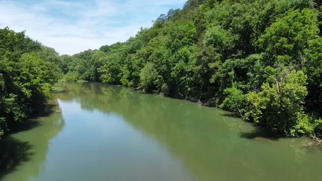 430 Petty Drive, Linden, TN 37096 - #2