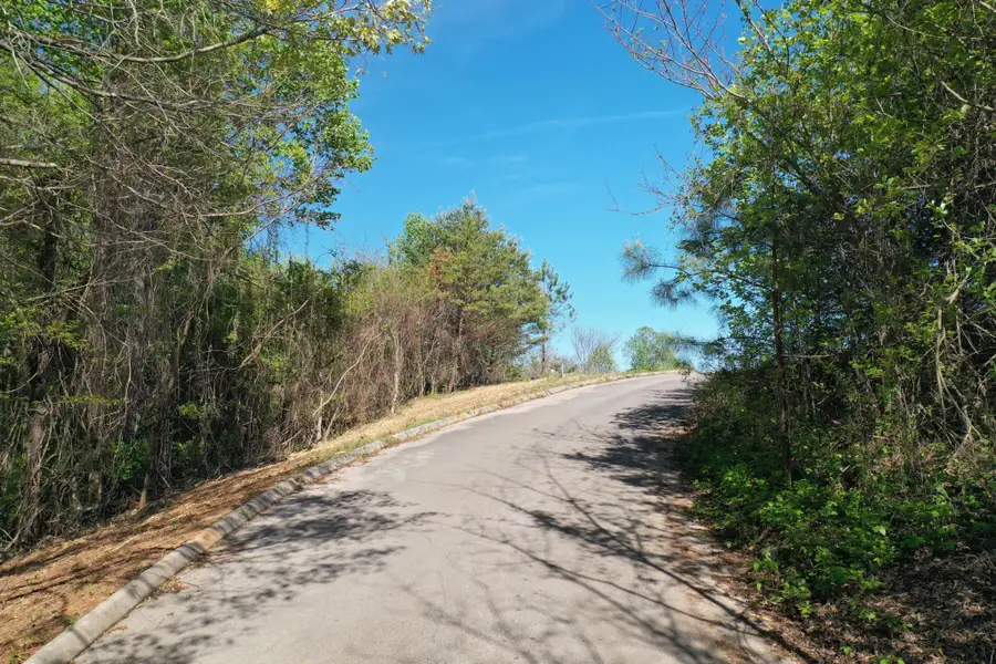 0 Lot 14 Elm Lane, Sweetwater, TN 37874 - #3