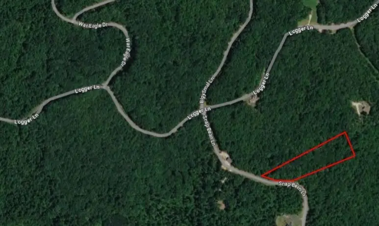 219 Snap Bean Ln, Cedar Grove, TN 38321 - #2