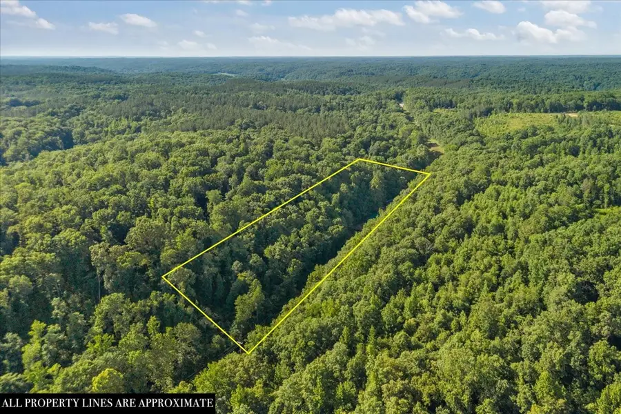 3865 Clydeton Rd S, Waverly, TN 37185 - #2